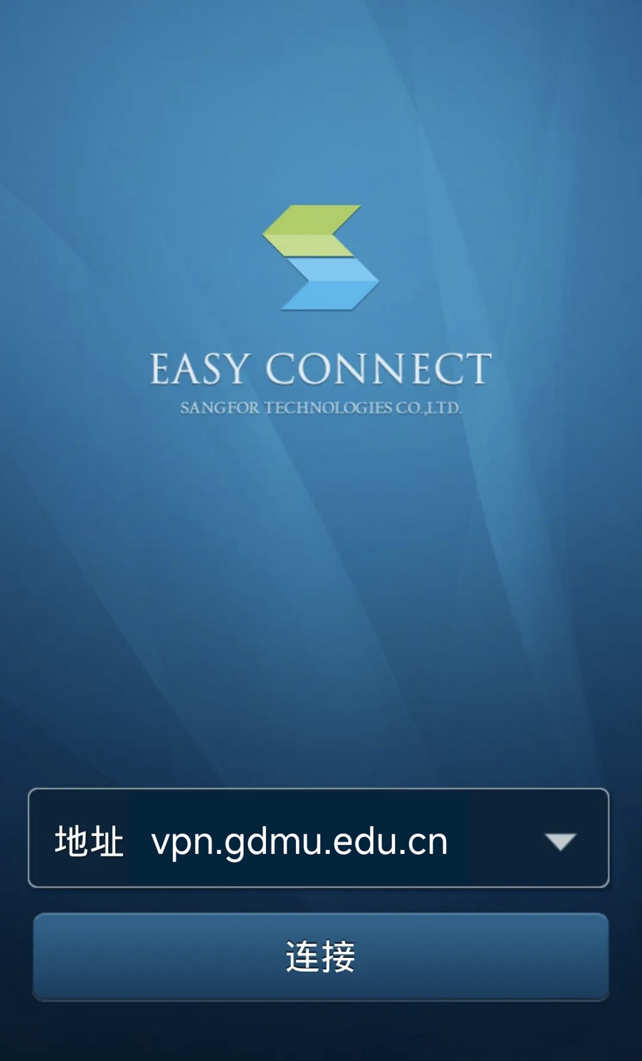 输入 VPN 服务器地址